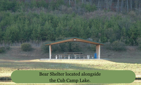 8-21-25-bear-shelter